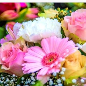 Meet your Posher, Lilly